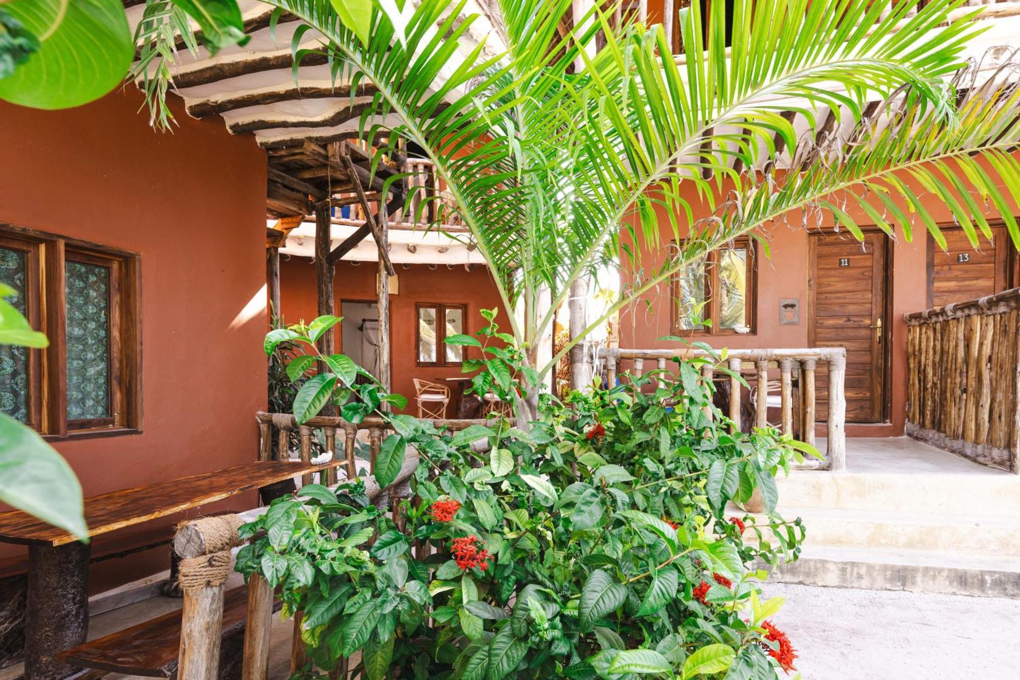 Shanuo Beach Bungalows Michamvi المظهر الخارجي الصورة