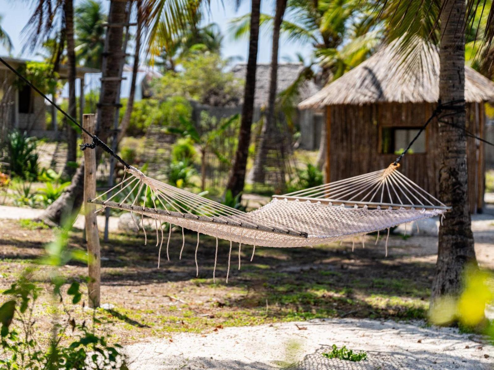 Shanuo Beach Bungalows Michamvi المظهر الخارجي الصورة