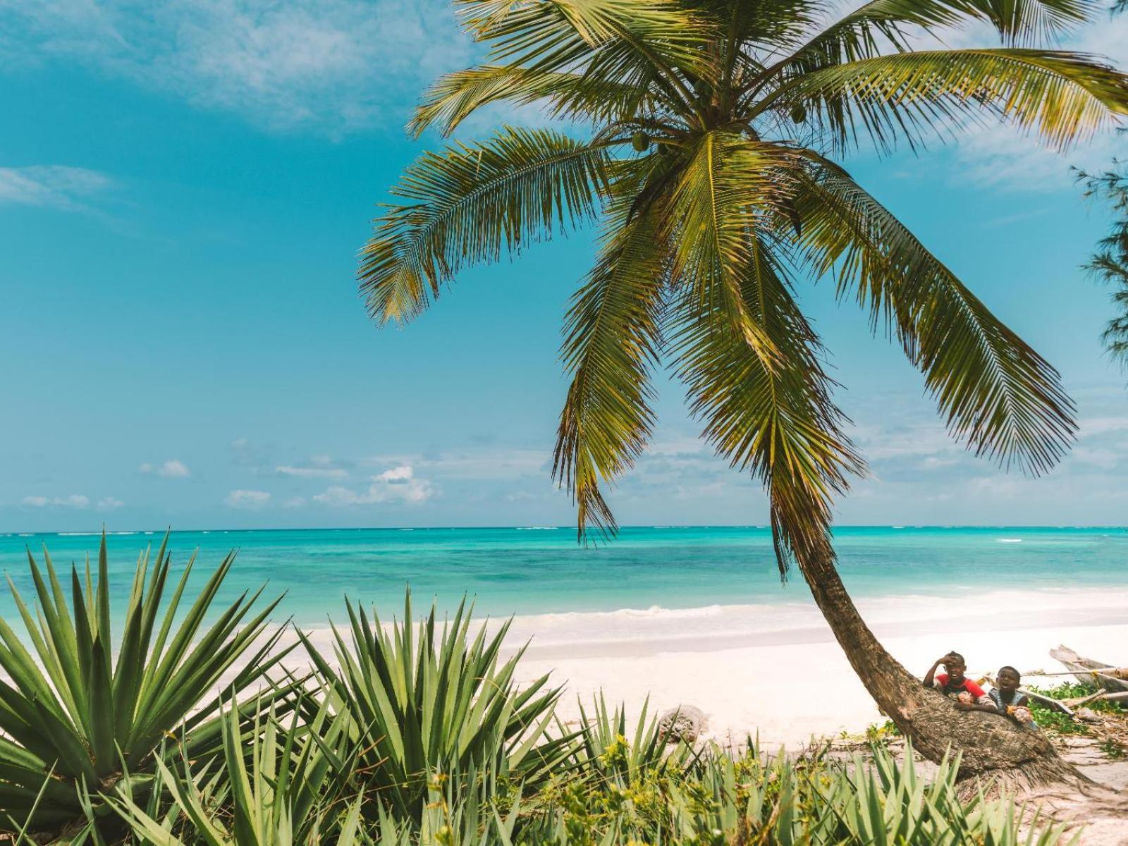 Shanuo Beach Bungalows Michamvi المظهر الخارجي الصورة